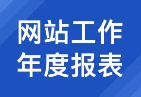 网站工作年度报表